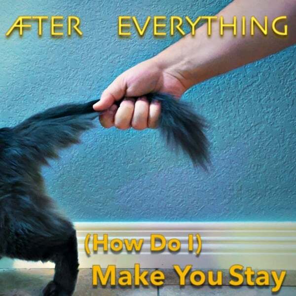 Cover art for (How Do I) Make You Stay